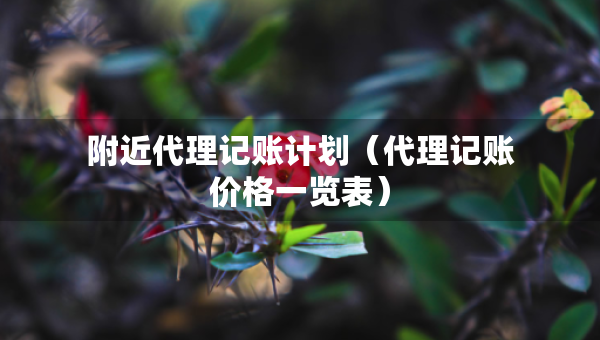 附近代理記賬計(jì)劃（代理記賬價(jià)格一覽表）
