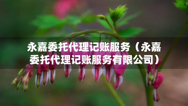 永嘉委托代理記賬服務（永嘉委托代理記賬服務有限公司）