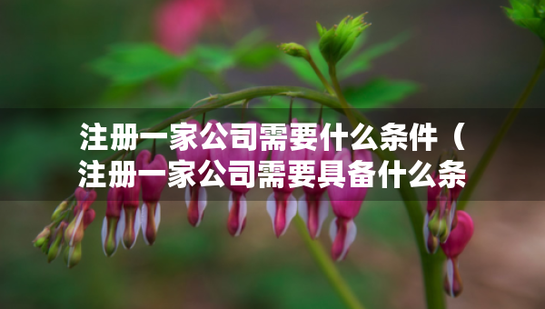 注冊一家公司需要什么條件（注冊一家公司需要具備什么條件）