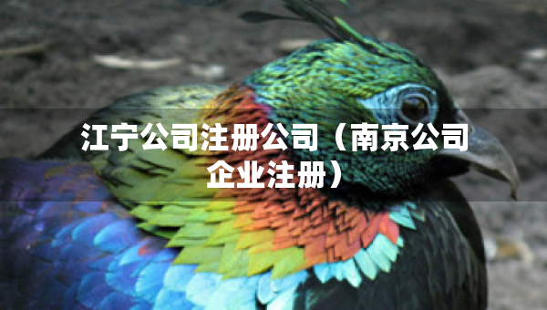 江寧公司注冊(cè)公司（南京公司企業(yè)注冊(cè)）