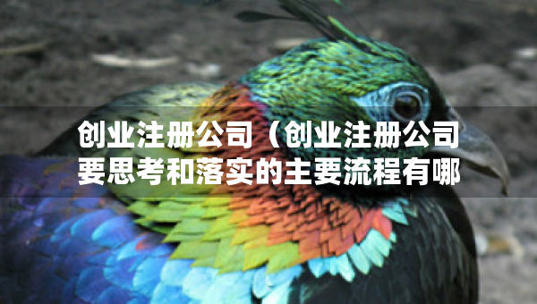 創(chuàng)業(yè)注冊公司（創(chuàng)業(yè)注冊公司要思考和落實(shí)的主要流程有哪些）