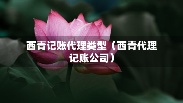 西青記賬代理類(lèi)型（西青代理記賬公司）