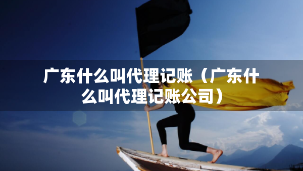 廣東什么叫代理記賬（廣東什么叫代理記賬公司）