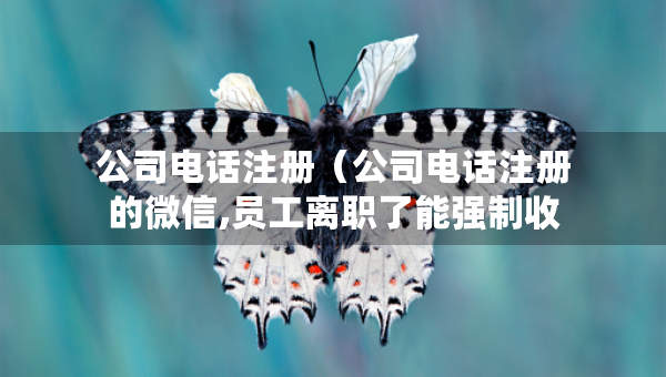 公司電話注冊(cè)（公司電話注冊(cè)的微信,員工離職了能強(qiáng)制收回嗎）