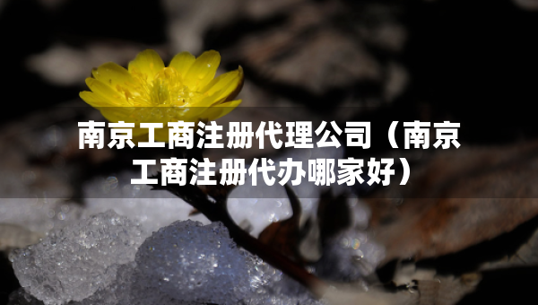 南京工商注冊代理公司（南京工商注冊代辦哪家好）