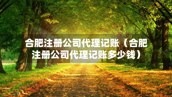 合肥注冊公司代理記賬（合肥注冊公司代理記賬多少錢）
