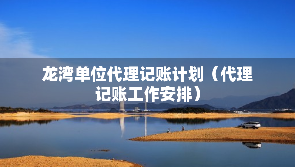 龍灣單位代理記賬計劃（代理記賬工作安排）