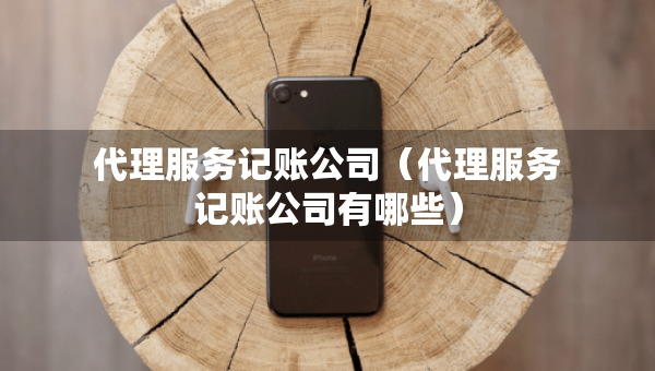 代理服務(wù)記賬公司（代理服務(wù)記賬公司有哪些）
