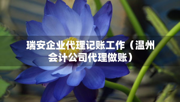 瑞安企業(yè)代理記賬工作（溫州會(huì)計(jì)公司代理做賬）