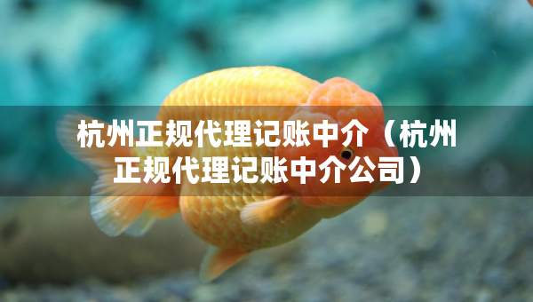 杭州正規(guī)代理記賬中介（杭州正規(guī)代理記賬中介公司）