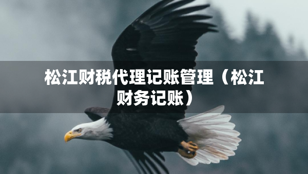 松江財(cái)稅代理記賬管理（松江財(cái)務(wù)記賬）