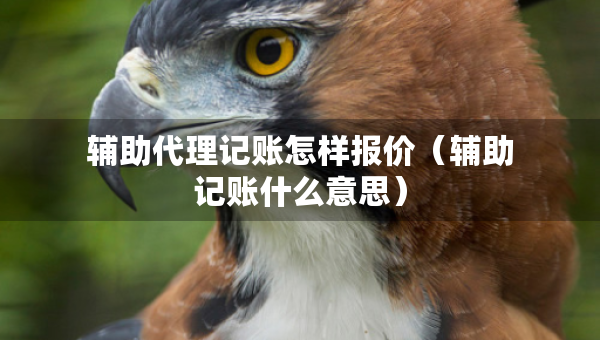 輔助代理記賬怎樣報價（輔助記賬什么意思）