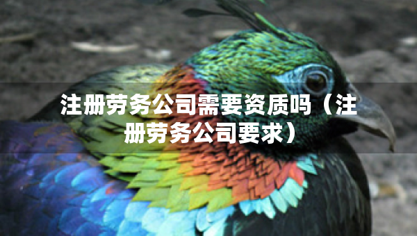 注冊勞務(wù)公司需要資質(zhì)嗎（注冊勞務(wù)公司要求）