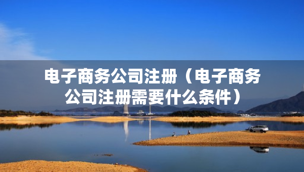 電子商務(wù)公司注冊（電子商務(wù)公司注冊需要什么條件）
