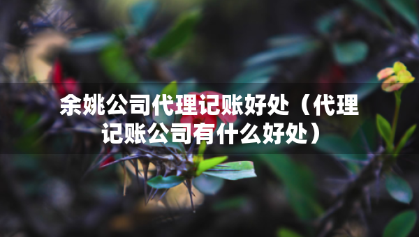 余姚公司代理記賬好處（代理記賬公司有什么好處）