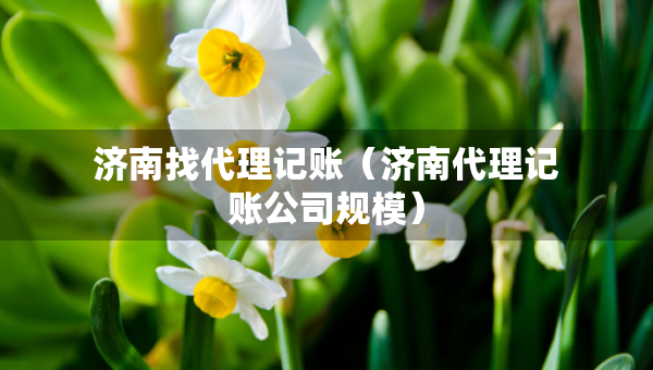 濟(jì)南找代理記賬（濟(jì)南代理記賬公司規(guī)模）