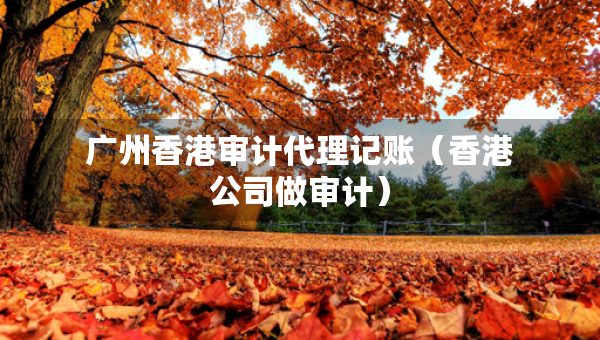 廣州香港審計代理記賬（香港公司做審計）