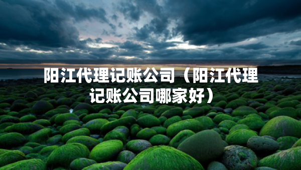 陽(yáng)江代理記賬公司（陽(yáng)江代理記賬公司哪家好）
