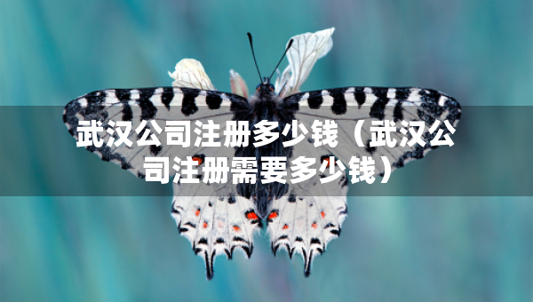 武漢公司注冊多少錢（武漢公司注冊需要多少錢）