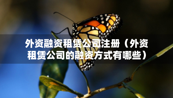外資融資租賃公司注冊（外資租賃公司的融資方式有哪些）