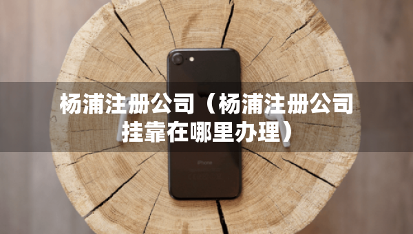 楊浦注冊公司（楊浦注冊公司掛靠在哪里辦理）