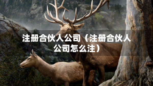 注冊合伙人公司（注冊合伙人公司怎么注）
