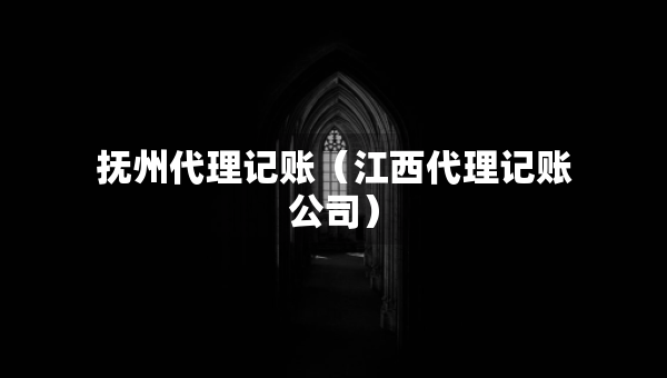 撫州代理記賬（江西代理記賬公司）