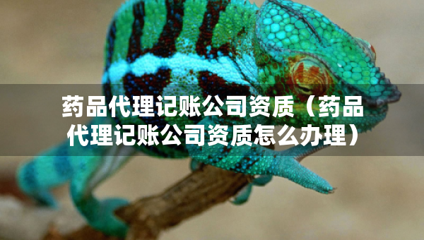 藥品代理記賬公司資質(zhì)（藥品代理記賬公司資質(zhì)怎么辦理）