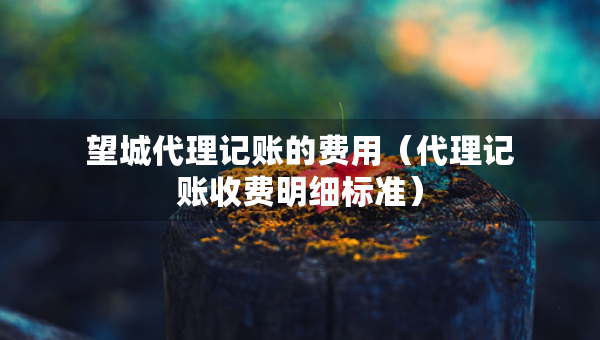 望城代理記賬的費用（代理記賬收費明細標(biāo)準(zhǔn)）