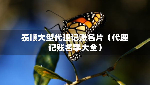 泰順大型代理記賬名片（代理記賬名字大全）