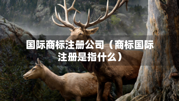 國際商標(biāo)注冊公司（商標(biāo)國際注冊是指什么）