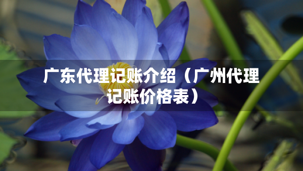 廣東代理記賬介紹（廣州代理記賬價格表）
