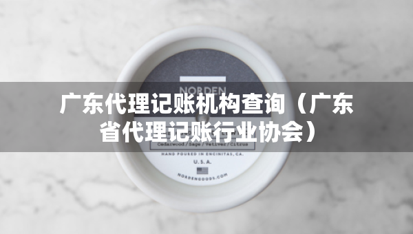廣東代理記賬機(jī)構(gòu)查詢（廣東省代理記賬行業(yè)協(xié)會(huì)）
