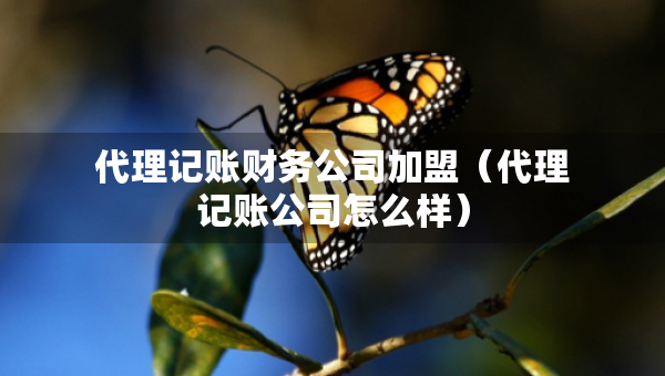 代理記賬財(cái)務(wù)公司加盟（代理記賬公司怎么樣）