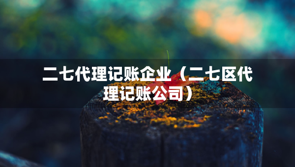 二七代理記賬企業(yè)（二七區(qū)代理記賬公司）