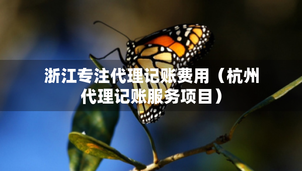 浙江專注代理記賬費(fèi)用（杭州代理記賬服務(wù)項(xiàng)目）