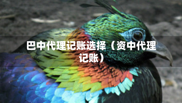 巴中代理記賬選擇（資中代理記賬）