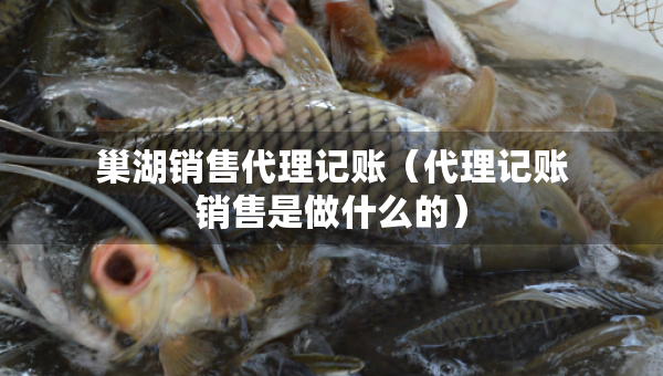 巢湖銷售代理記賬（代理記賬銷售是做什么的）