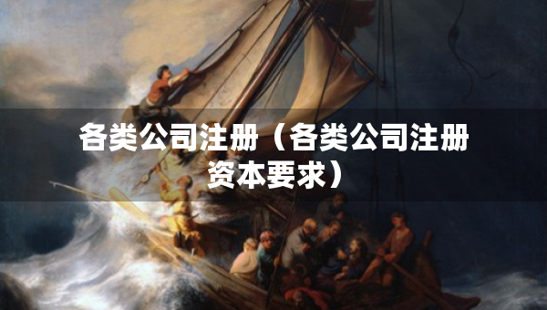 各類公司注冊(cè)（各類公司注冊(cè)資本要求）