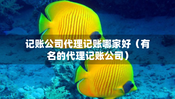 記賬公司代理記賬哪家好（有名的代理記賬公司）