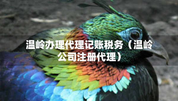 溫嶺辦理代理記賬稅務(wù)（溫嶺公司注冊代理）
