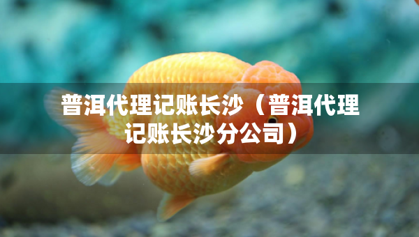 普洱代理記賬長沙（普洱代理記賬長沙分公司）