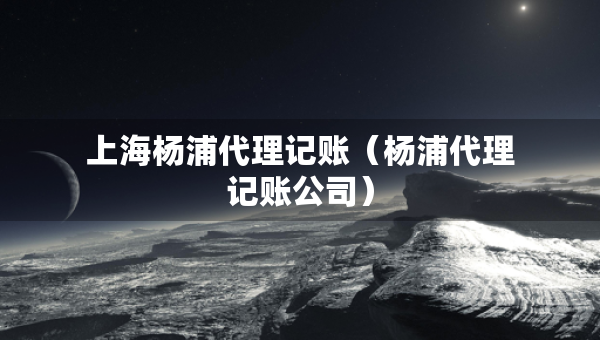 上海楊浦代理記賬（楊浦代理記賬公司）