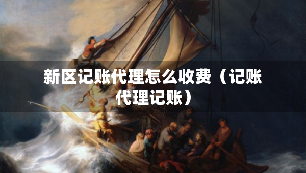 新區(qū)記賬代理怎么收費（記賬代理記賬）
