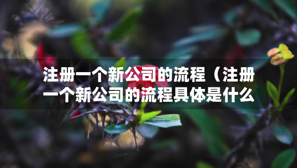 注冊一個(gè)新公司的流程（注冊一個(gè)新公司的流程具體是什么）