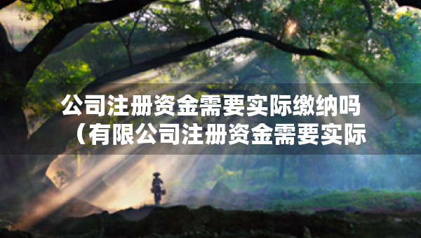 公司注冊資金需要實際繳納嗎（有限公司注冊資金需要實際繳納嗎）
