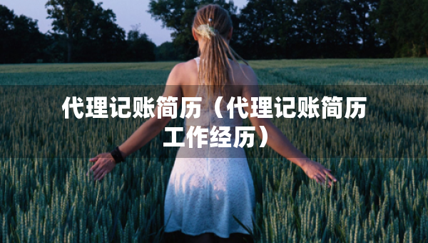 代理記賬簡(jiǎn)歷（代理記賬簡(jiǎn)歷工作經(jīng)歷）