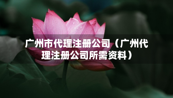 廣州市代理注冊(cè)公司（廣州代理注冊(cè)公司所需資料）