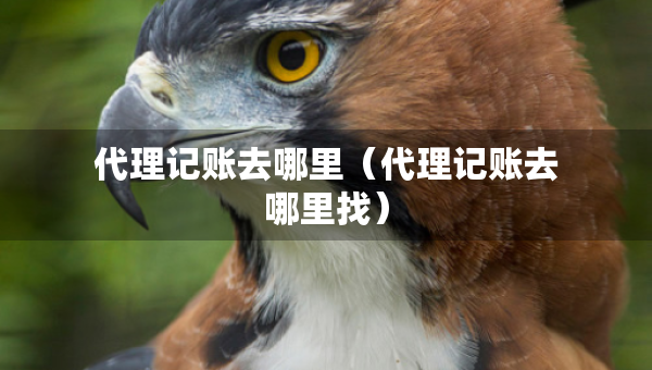 代理記賬去哪里（代理記賬去哪里找）