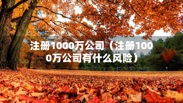 注冊1000萬公司（注冊1000萬公司有什么風險）